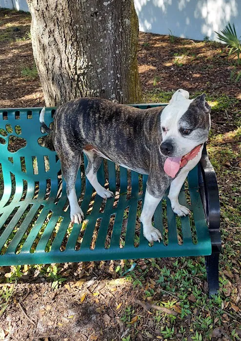 Parker’s Landing Dog Park 3