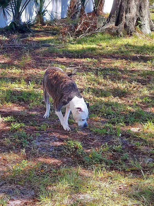 Parker’s Landing Dog Park 4
