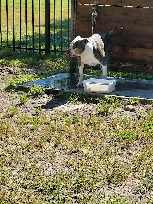 Parker’s Landing Dog Park 10