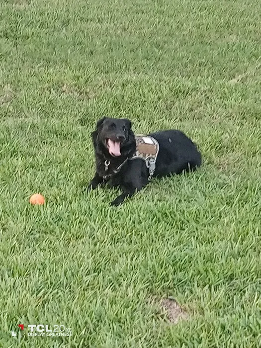 Parker’s Landing Dog Park 7