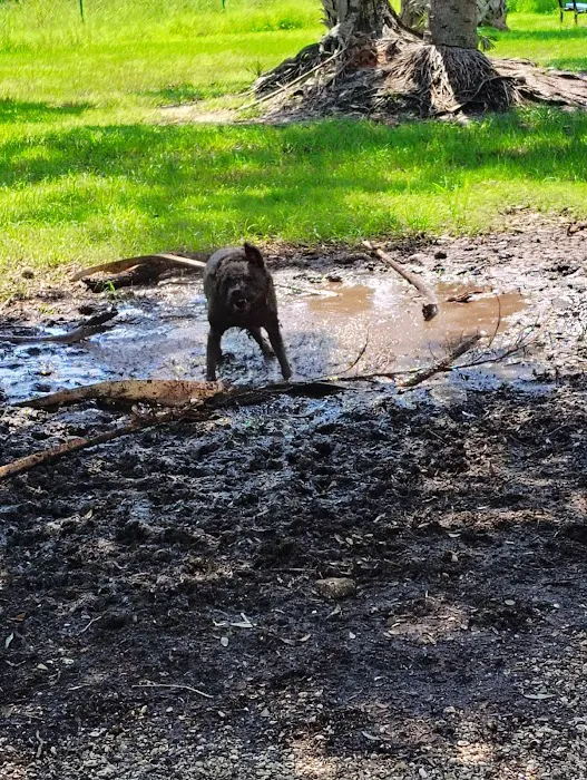 Bark Park (Large) 7