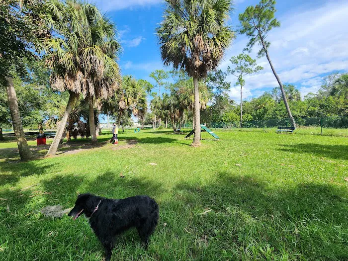 Bark Park (Large) 10