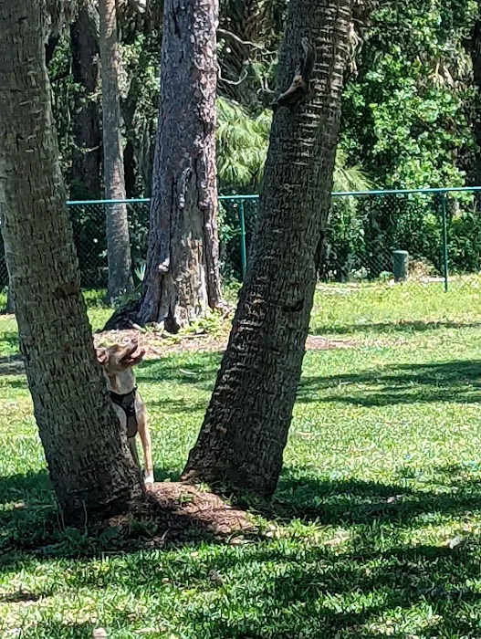Bark Park (Large) 4