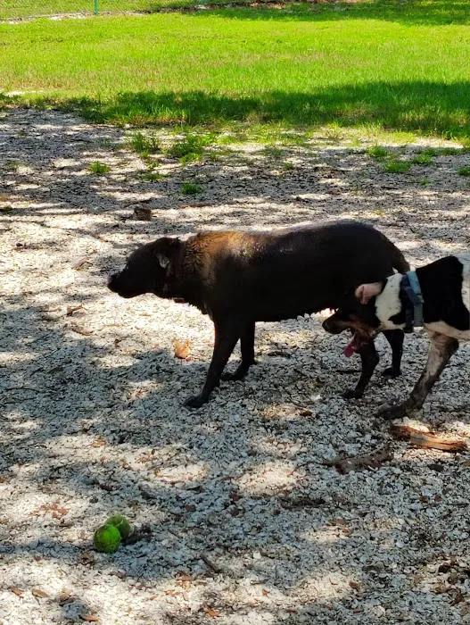 Bark Park (Large) 1