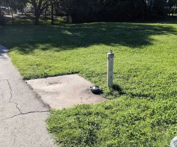 Dog Park