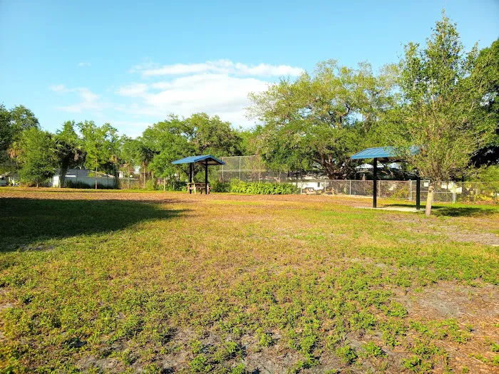 Dog Park 4