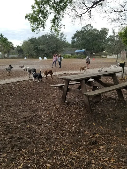 Dog Park 6