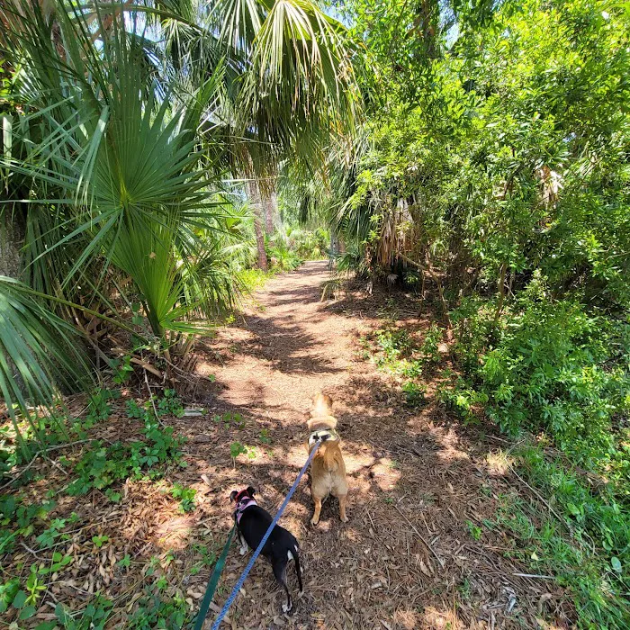 Dog Park 7
