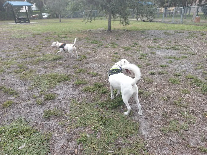 Dog Park 2