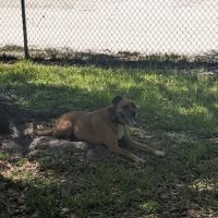 Lakeview Park ico
