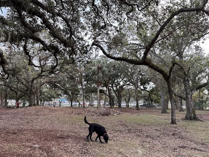 Lakeview Park 5
