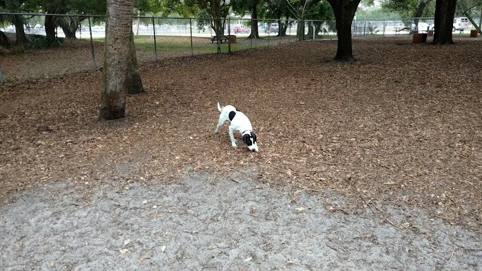 Lakeview Park 10