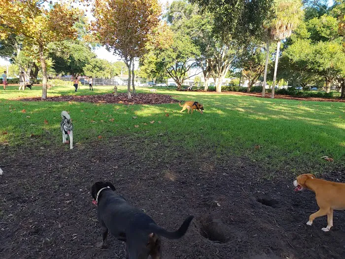 Crest Lake Dog Park 10