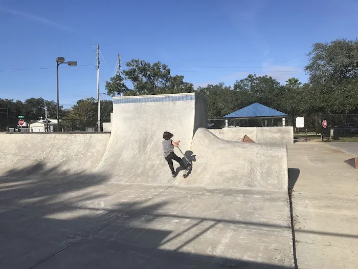 Safety Harbor Dog Park 2