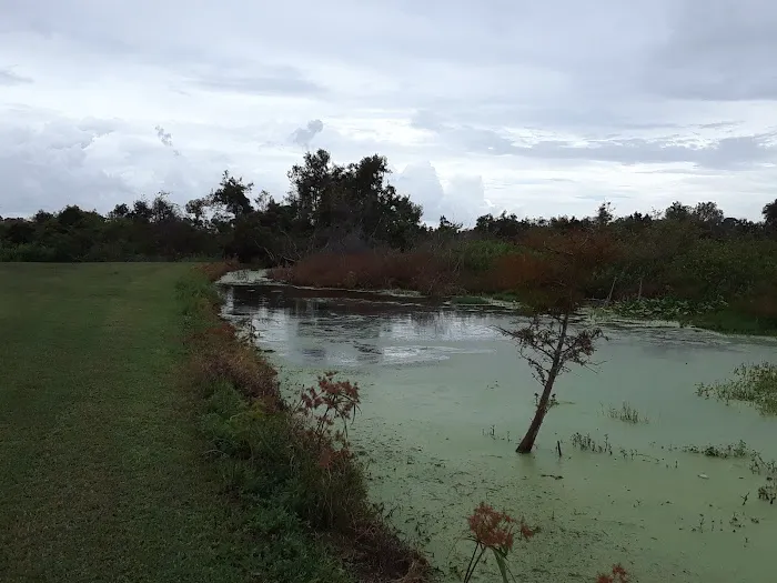 Safety Harbor Dog Park 7