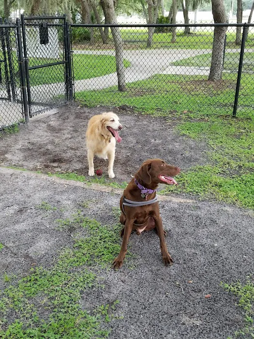 Safety Harbor Dog Park 9
