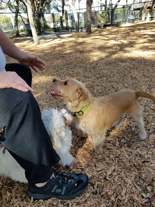 Safety Harbor Dog Park 6