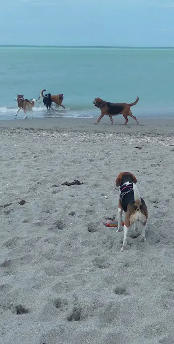 Brohard Paw Park 5