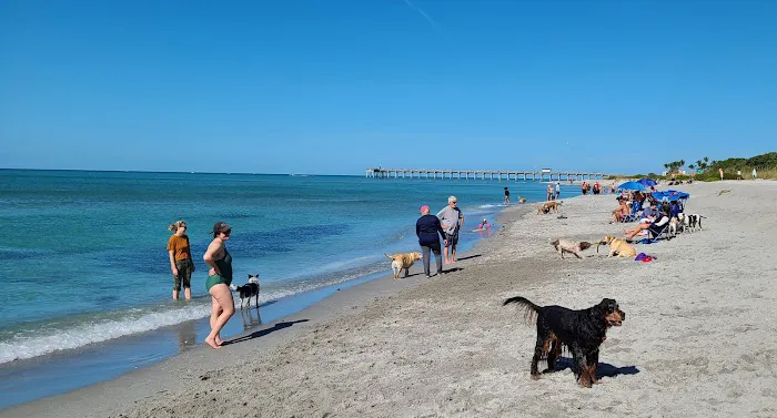 Brohard Paw Park 2