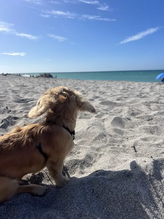 Brohard Paw Park 7