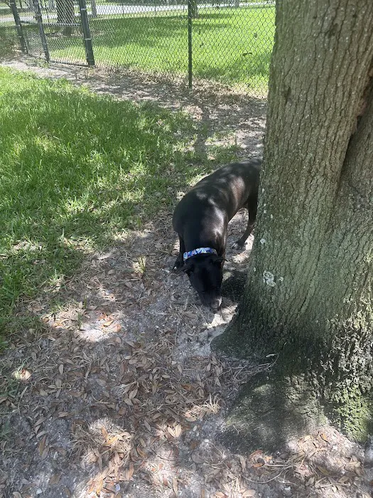 Sandkey.Park 2