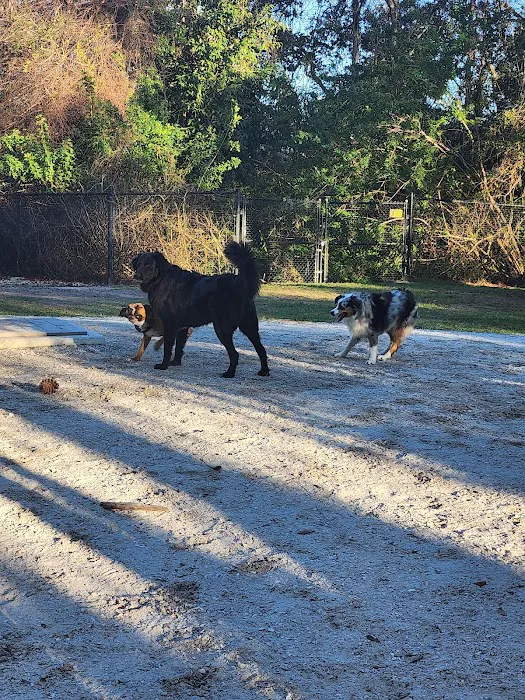 Enterprise Dog Park 4