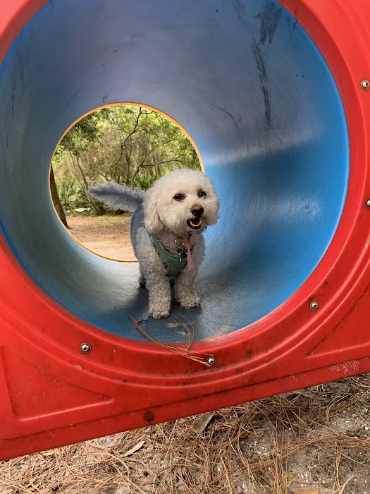 Enterprise Dog Park 2