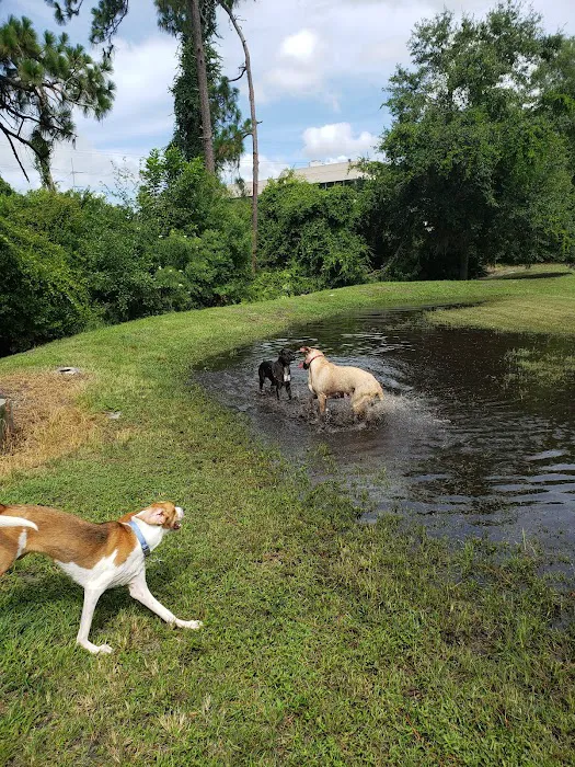 Enterprise Dog Park 1