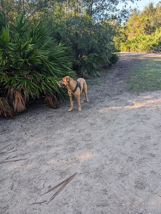 Enterprise Dog Park 8