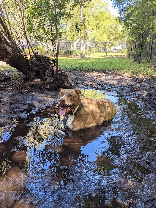 Enterprise Dog Park 7