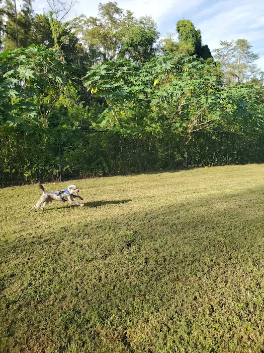 Safety Harbor Dog Run 3