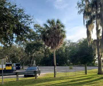 Safety Harbor Dog Run
