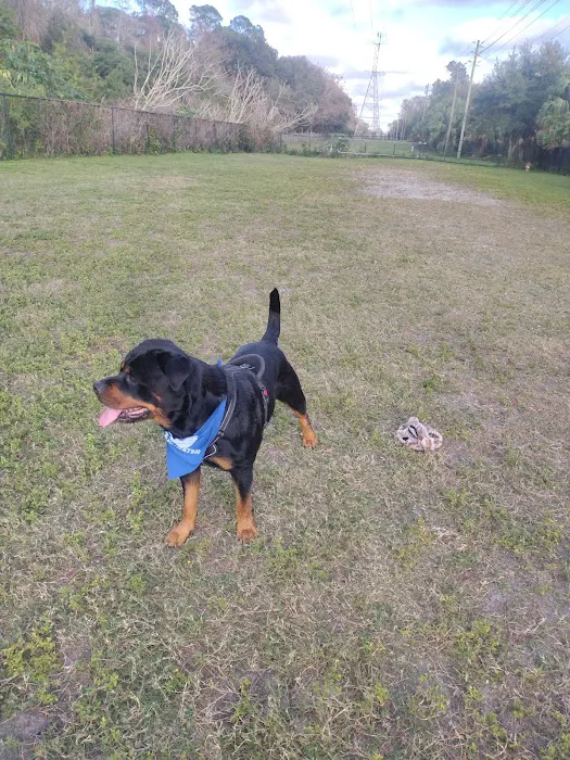Safety Harbor Dog Run 4