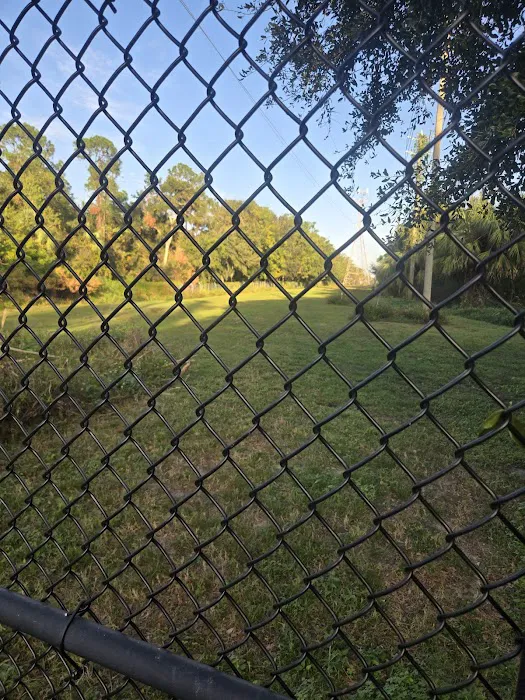 Safety Harbor Dog Run 7