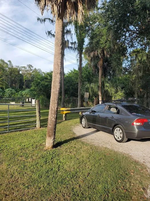 Safety Harbor Dog Run 6