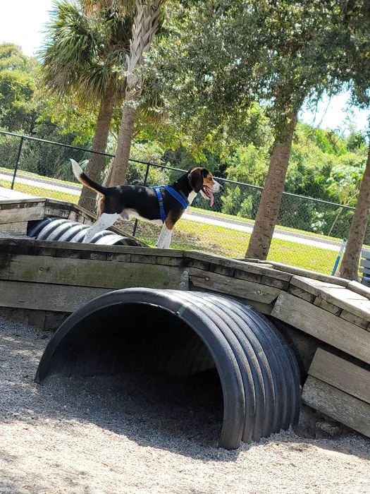 Tarpon Springs Dog Park 9