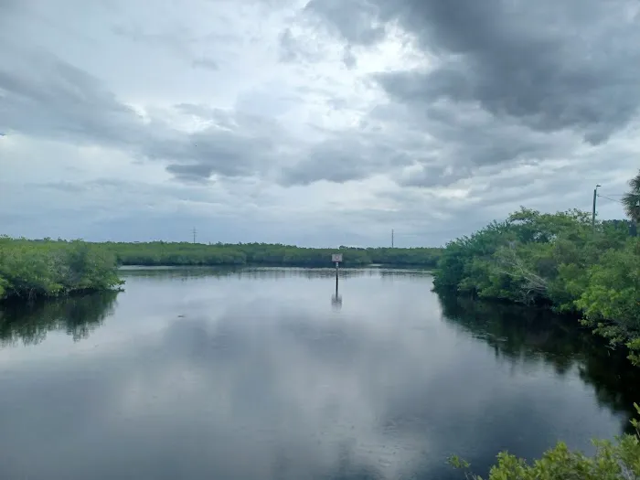 Tarpon Springs Dog Park 5