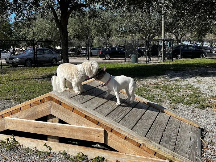Tarpon Springs Dog Park 1