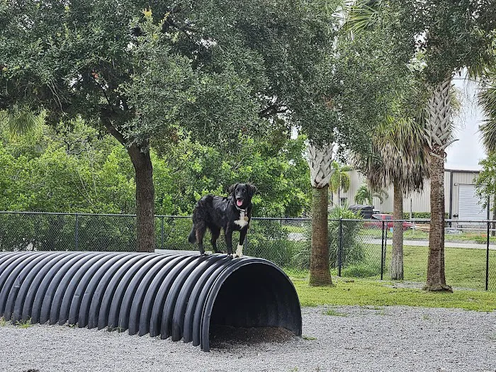 Tarpon Springs Dog Park 4