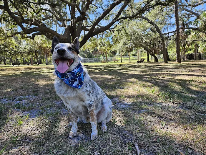 Woodmere Dog Park 6