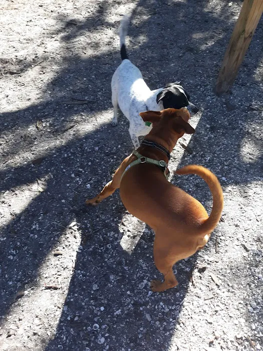 Woodmere Dog Park 3