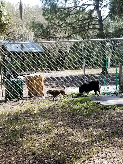 Woodmere Dog Park 9