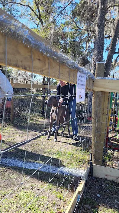 Backyard Dog Racing League 7