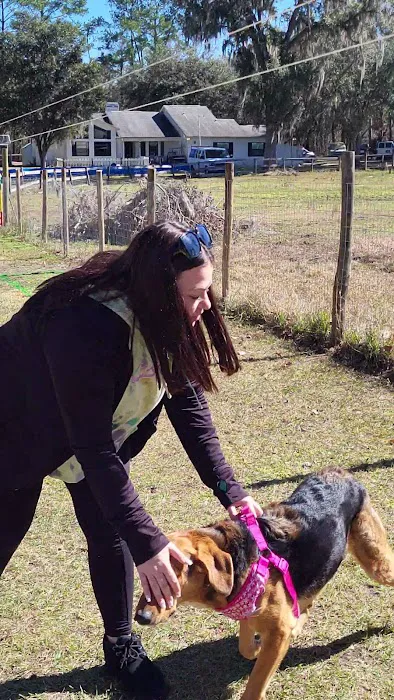 Backyard Dog Racing League 2