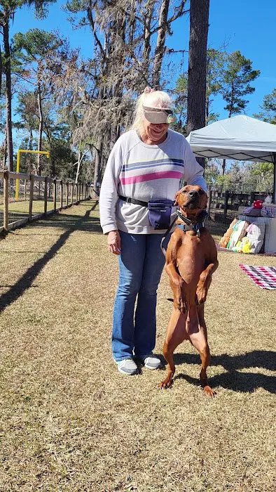 Backyard Dog Racing League 5