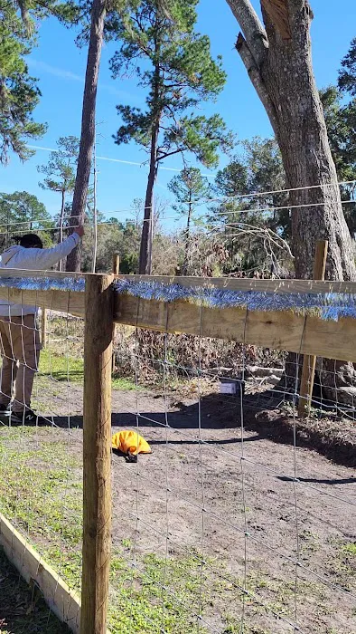 Backyard Dog Racing League 3