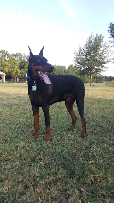 Auburndale Dog Park 4
