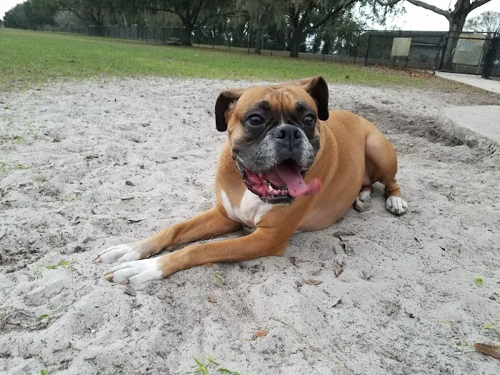 Auburndale Dog Park 6