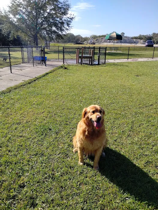 Auburndale Dog Park 8