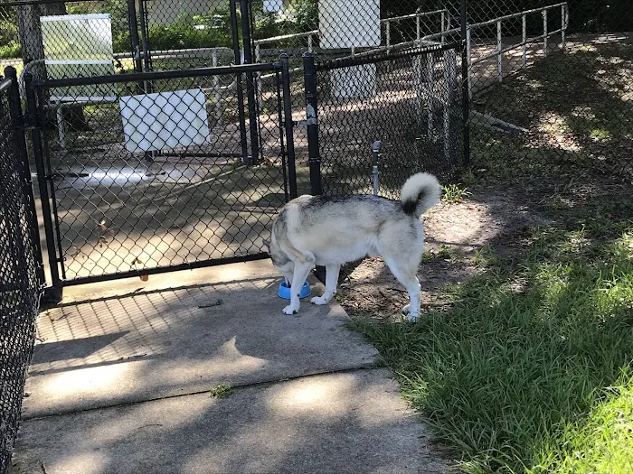 Auburndale Dog Park 10